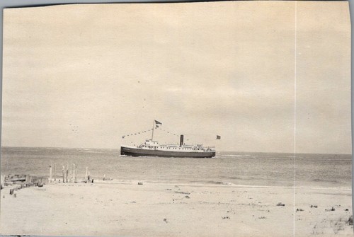 Steamer northland dressed - steamer,